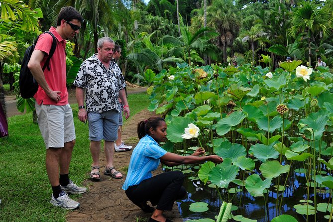 Historical Private Guided Tour, City-SugarWorld-Botanical Garden - Min.2 persons - Odysseo adds a modern marine stop