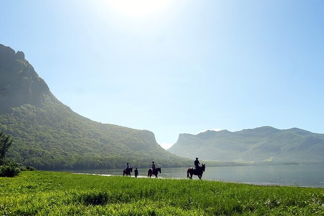 Horse Riding experience by Haras du Morne - Key Points at a Glance