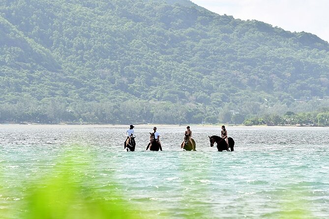 Horse Riding experience by Haras du Morne - First, Sort Out the Horse Riding Question