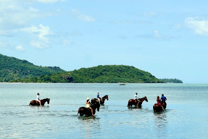 Horse Riding experience by Haras du Morne - Lunch and Rum at Chamarel Rhumerie