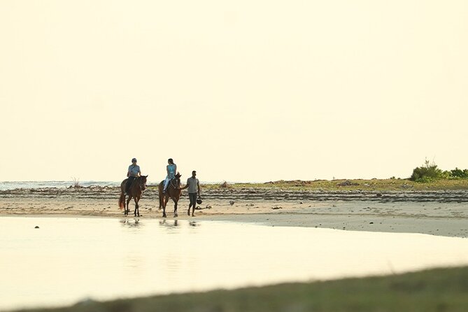Horse Riding experience by Haras du Morne - Why Le Morne Matters
