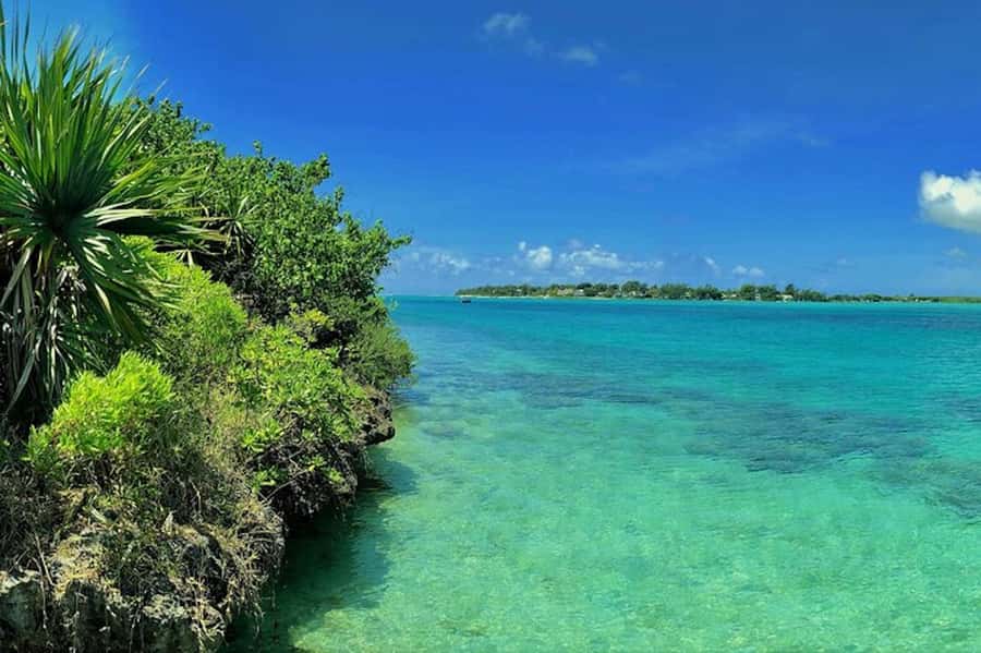 Ile aux Aigrettes Reserve & Blue Bay Glass Bottom Boat - Starting with private pickup across Mauritius
