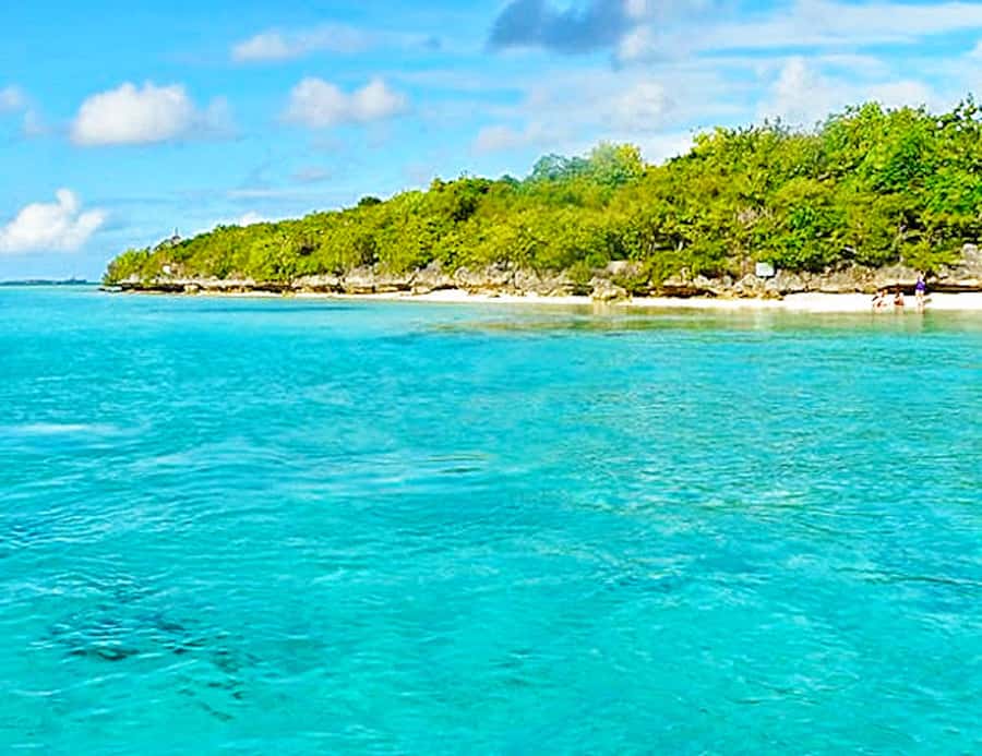 Ile aux Aigrettes Reserve & Blue Bay Glass Bottom Boat - FAQ