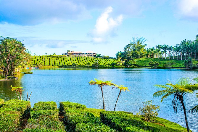 Ile aux Aigrettes - Tea Route - Gris Gris Private Guided Tour (Min. 2 persons) - Is $184.46 per person good value?