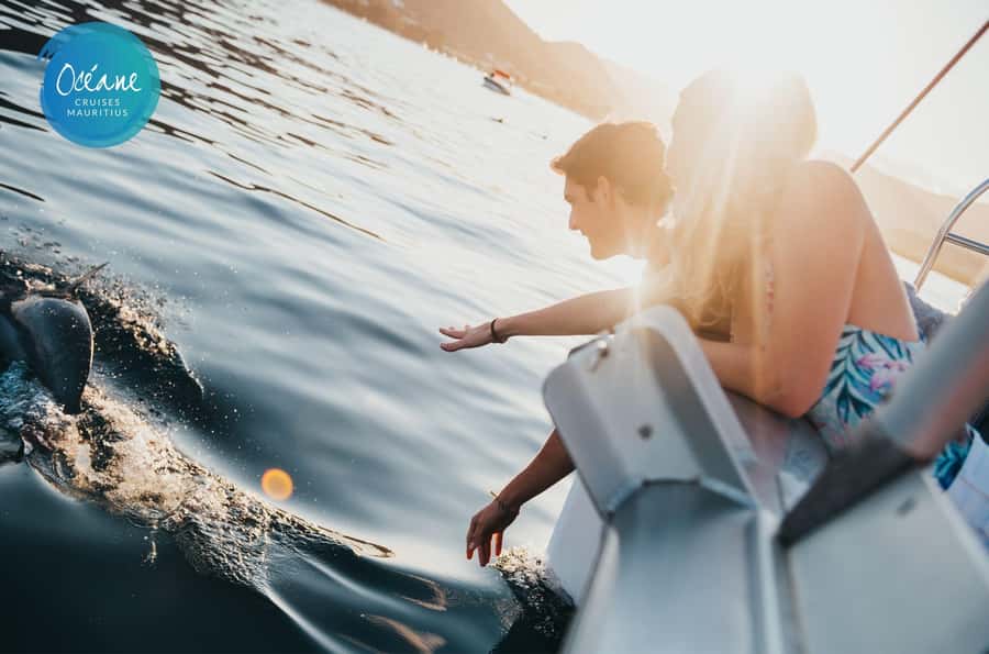 Ile Aux Bénitiers : Private Catamaran Cruise & Gourmet Lunch - Key points at a glance