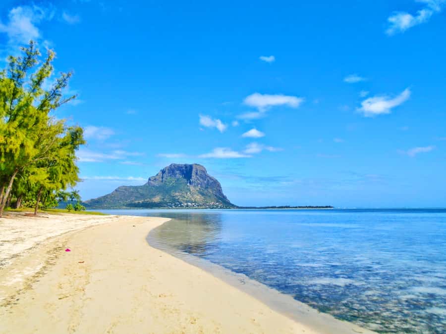 Île aux Bénitiers: Snorkeling w/Dolphins Boat Tour & Lunch - Who will enjoy this day most