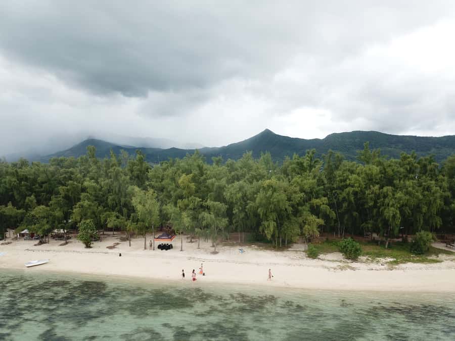 Île aux Bénitiers: Snorkeling w/Dolphins Boat Tour & Lunch - Should you book the Île aux Bénitiers tour?