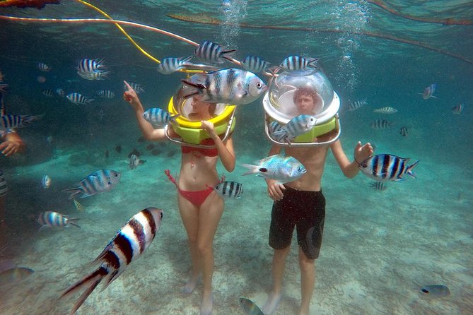 Ile aux Cerf: Speed boat with Parasailing & Tube Riding and Lunch - Four hours around Ile aux Cerfs