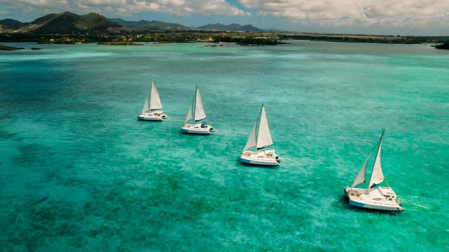Ile Aux Cerfs: Catamaran Cruise, island, waterfalls, Lunch - Who Will Enjoy This Catamaran Cruise?