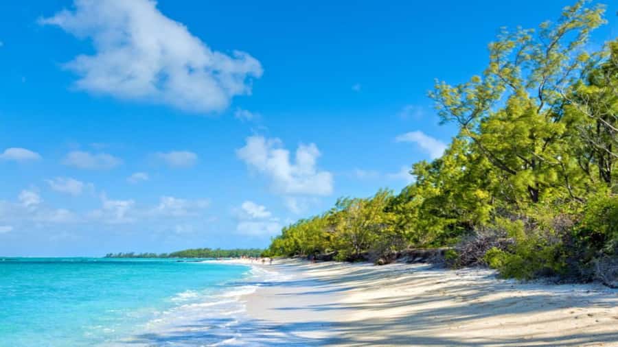 Ile Aux Cerfs Catamaran Cruise & Waterfalls- Lunch & Drinks - Is $70 a fair price?