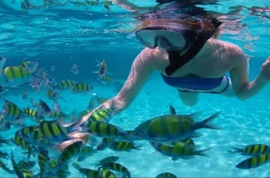 Ile Aux Cerfs Catamaran Cruise with Pick-up/Drop-off & Lunch - Trou d’Eau Douce and the first stretch of coast
