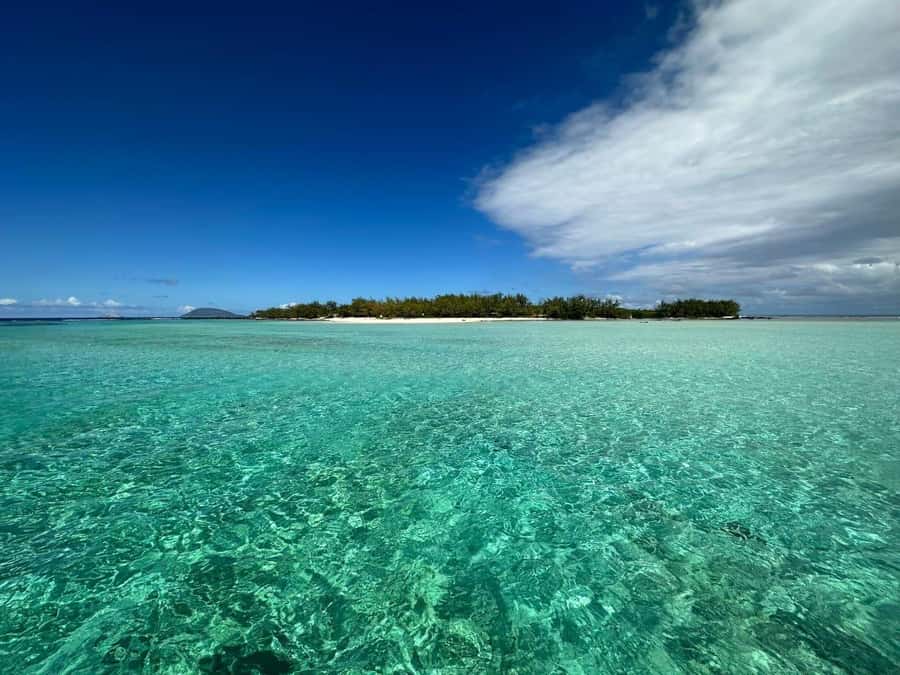 Ile aux Cerfs: Island & Waterfall Speedboat Tour with Lunch - The return transfer requires attention