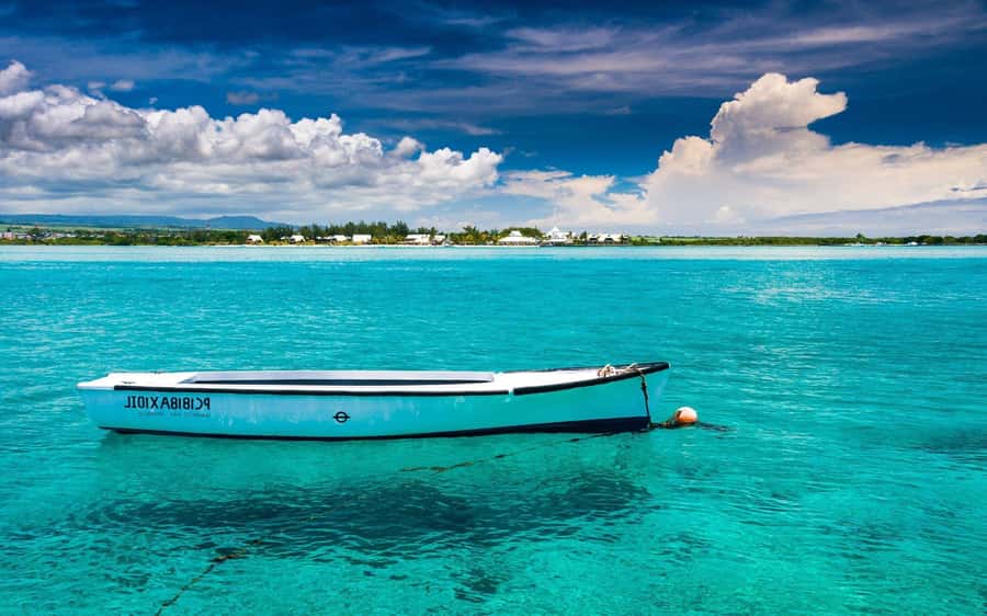Ile aux cerfs: Private picnic, waterfall, bbq beach lunch - Speedboat views on Grand River South East