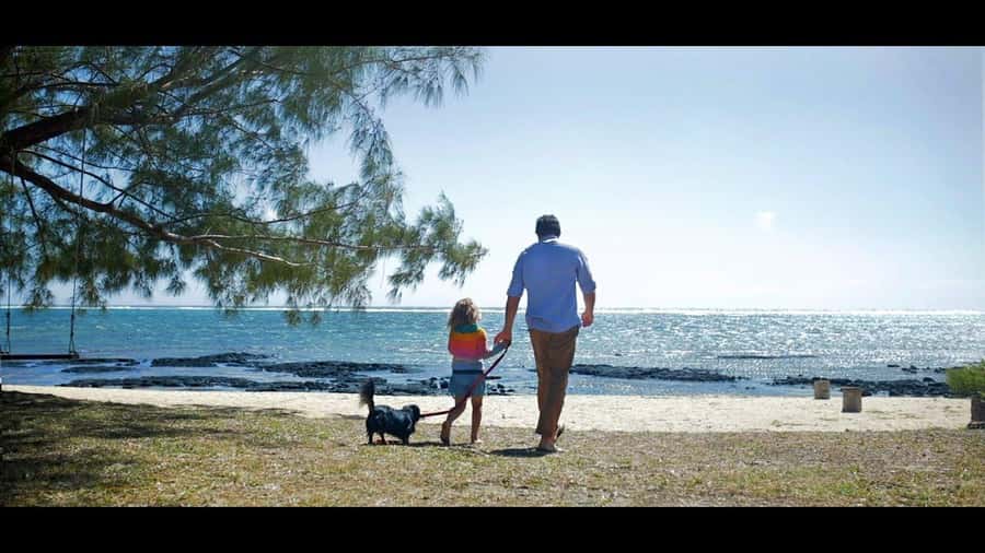 Ile aux cerfs: Private picnic, waterfall, bbq beach lunch - Snorkeling near Ile aux Cerfs
