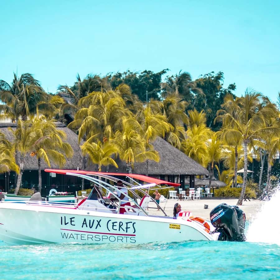Ile aux Cerfs Speedboat Trip & Transport: Private or Shared - Barbecue lunch at Ilot Mangenie