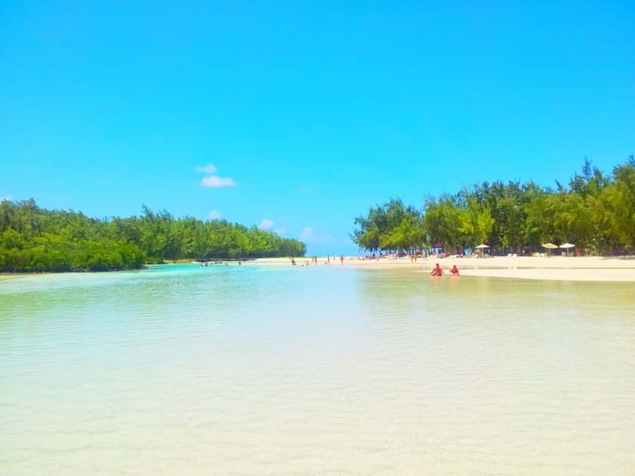 Ile aux Cerfs Speedboat Trip & Transport: Private or Shared - Private or shared speedboat: which option makes sense?
