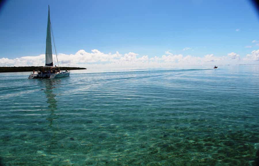 Ile aux Cerfs: The very best day by catamaran. - Who Will Like This Cruise Most?