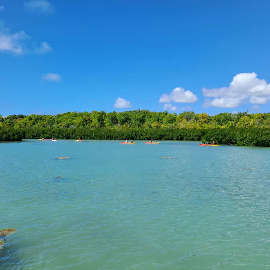 Ile d Ambre Kayaking - Swim and Snorkel Stop in the Park