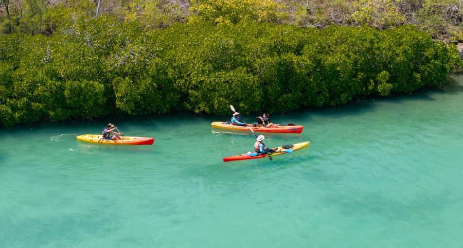 Ile d Ambre Kayaking - Local Cakes and Coffee at the Kiosk