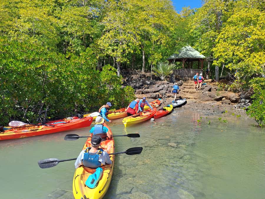 Ile d Ambre Kayaking - Guides, Safety, and Languages