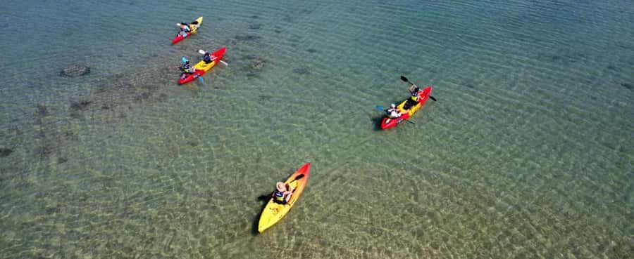 Ile d Ambre Kayaking - Through the Mangroves at a Gentle Pace