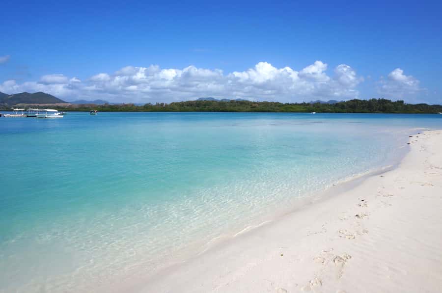 La Preneuse: Dolphin Swimming and Snorkeling Speedboat Trip - The speedboat ride along Mauritius’s west coast