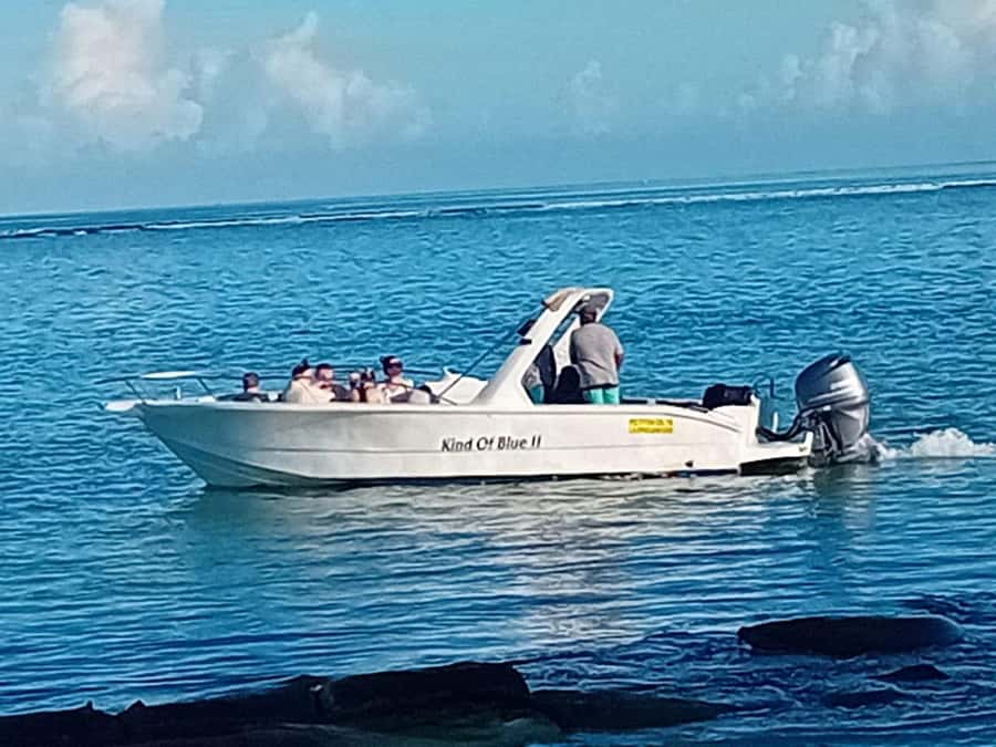 La Preneuse: Dolphin Watching and Snorkeling Speedboat Tour - What the lagoon snorkeling adds