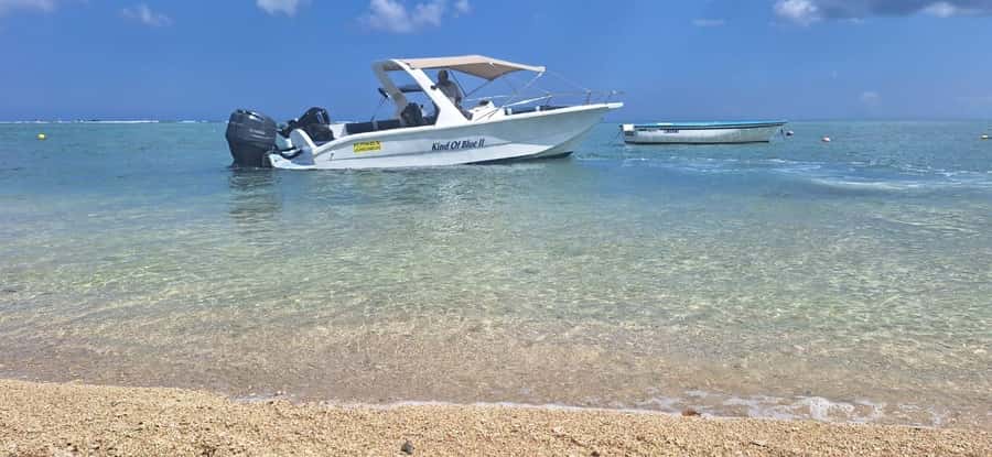 La Preneuse: Dolphin Watching and Snorkeling Speedboat Tour - Who will enjoy this most