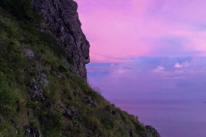 Le Morne Brabant Sunrise Hike - Plants, birds, monkeys, and a rare bonus sighting