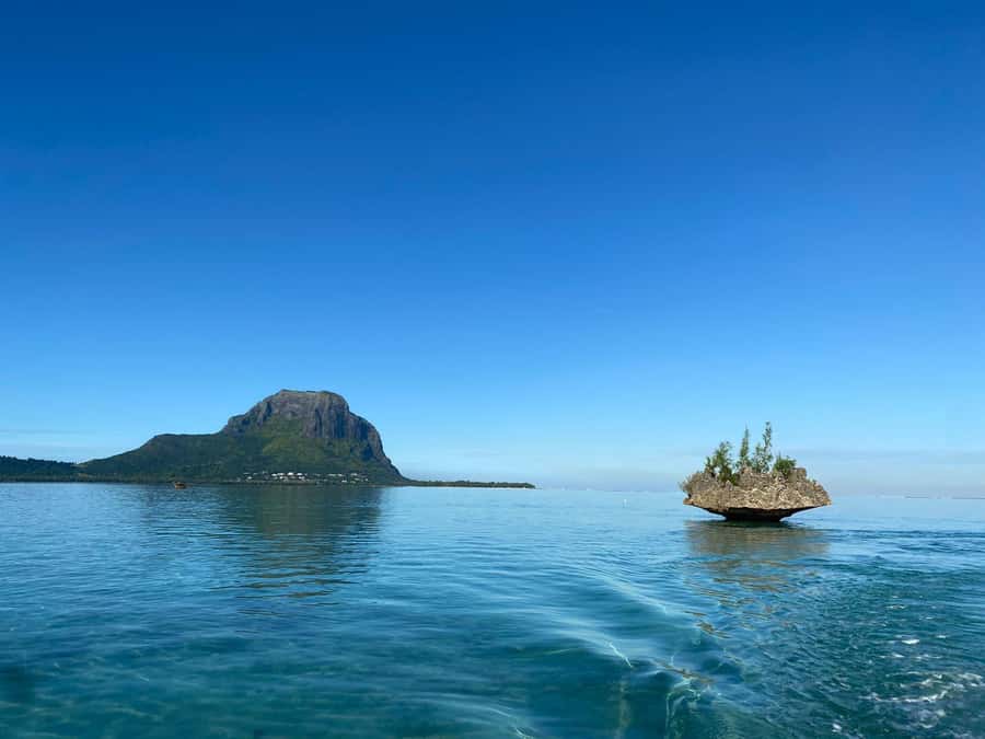 LE MORNE DOLPHINS SUNRISE TRIP - The crew and the family angle