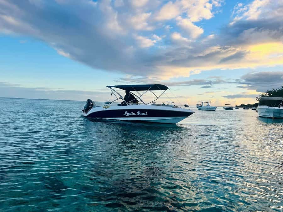 Le Morne: Private Boat Tour Dolphin-Watching & swimming - Key points to know before booking