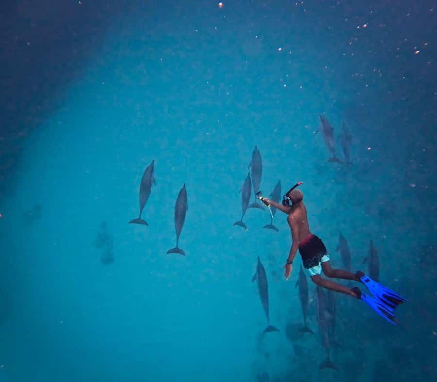 Le Morne: Private Boat Tour Dolphin-Watching & swimming - Why Le Morne is such a good starting point