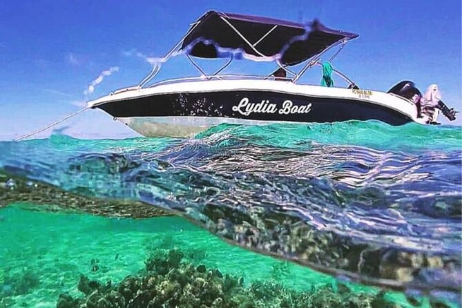 Lydia Boat Mauritius :Private boat tour:Whales&Dolphins encounter - Key points before you book