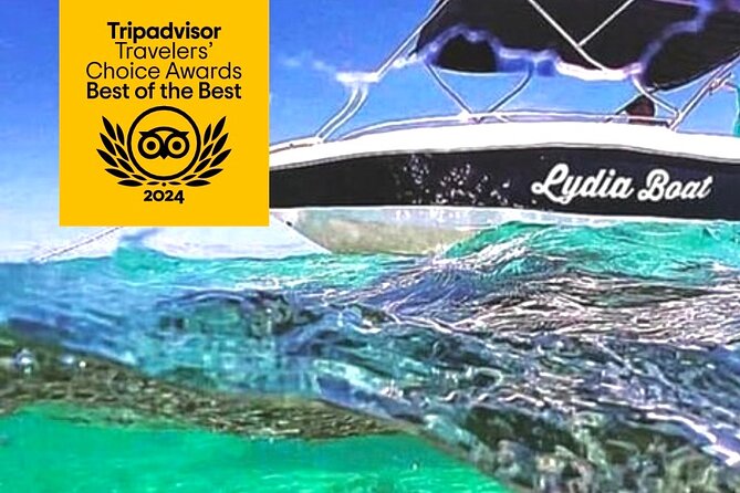 Lydia Boat Mauritius :Private boat tour:Whales&Dolphins encounter - Starting at Le Morne with a private speedboat