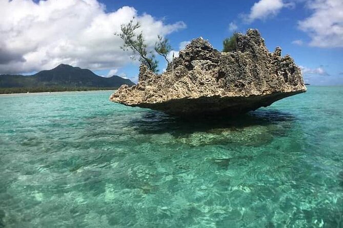 Lydia Boat Mauritius :Private boat tour:Whales&Dolphins encounter - Who will enjoy this boat tour most?