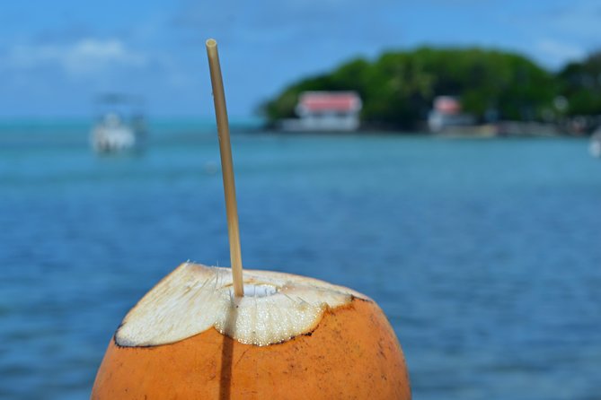 Mahebourg Village Food Tour - Key points to know before booking