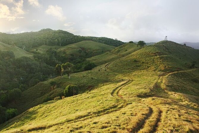 Mauritius: 2 Hours Buggy Ride - Bel Ombre Nature Reserve - The Frederica waterfall stop