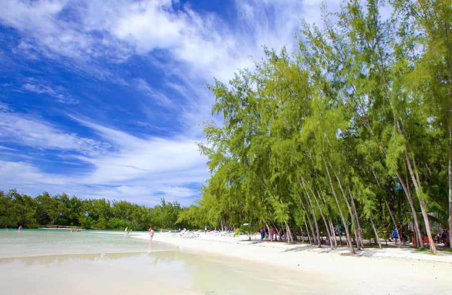 Mauritius: 3 Activities + Ile aux Cerfs Boat tour w/ BBQ - What the $124 price really covers