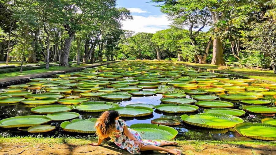 Mauritius: 3 Days Private Authentic Tour with hidden gems - Timing, meals, and what to bring