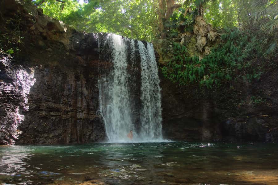 Mauritius: 3-Hour Hiking the Wild South Excursion - Key points at a glance