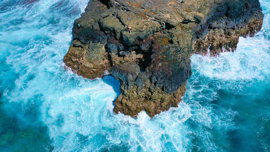 Mauritius: 3-Hour Hiking the Wild South Excursion - Forest trails before the water stops