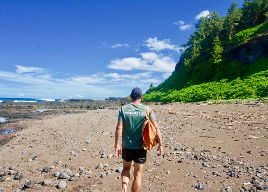 Mauritius: 3-Hour Hiking the Wild South Excursion - Waterfalls and natural pools for cooling off
