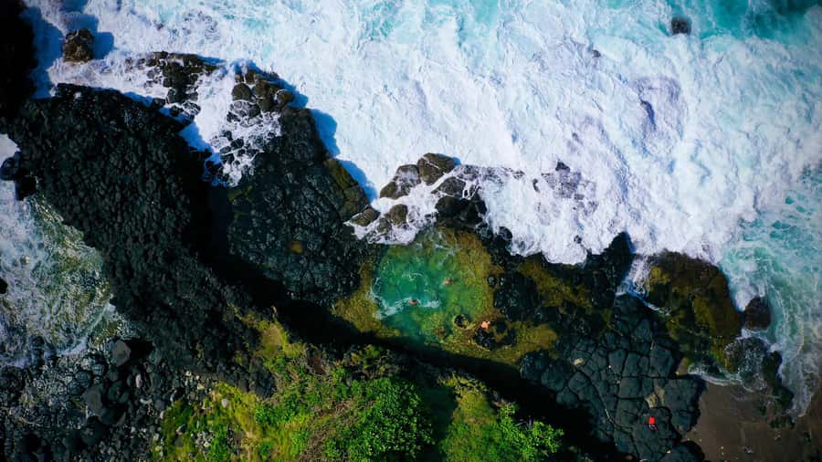 Mauritius: 3-Hour Hiking the Wild South Excursion - Is $64 a fair price?