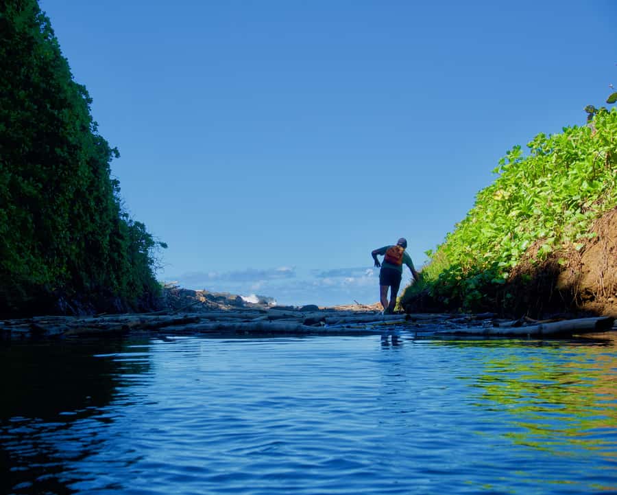 Mauritius: 3-Hour Hiking the Wild South Excursion - A three-hour route with several kinds of terrain