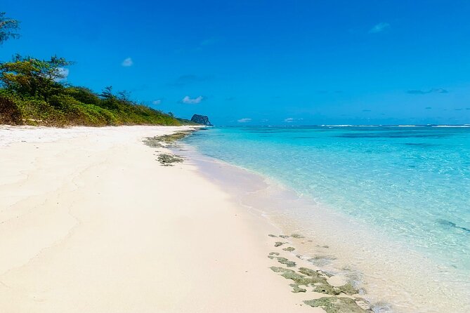 Mauritius 5-Day Private Excursion and Cruise - Chateau Labourdonnais and Pamplemousses
