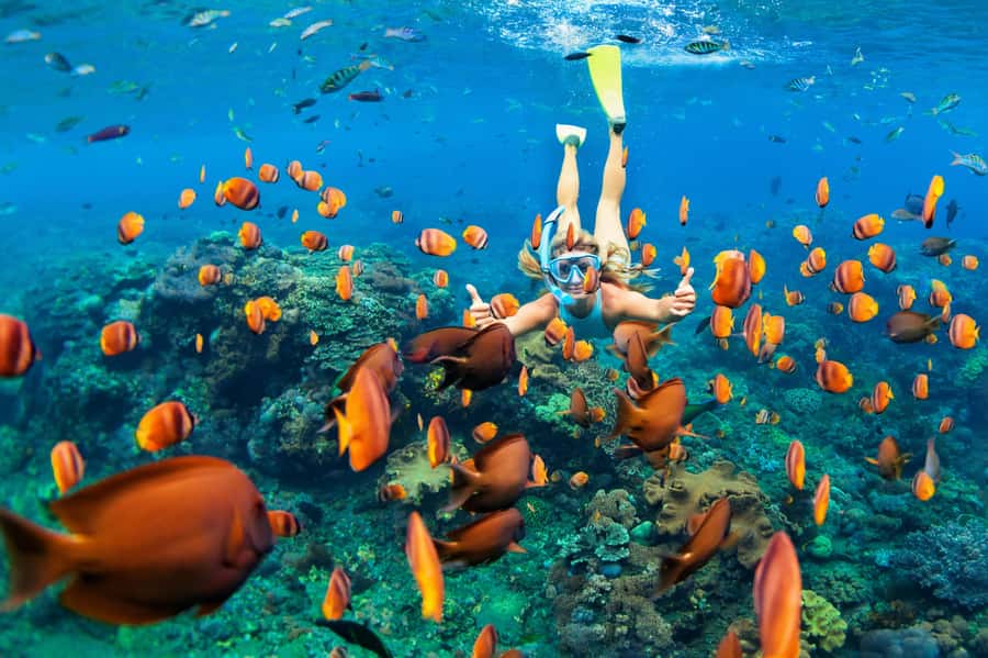 Mauritius: 5 East Coast Islands Tour with Snorkeling & Lunch - Why the east coast works so well by boat