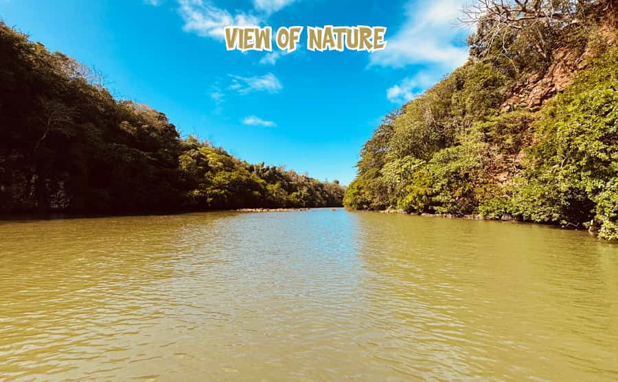 Mauritius: 5 Islands of the East Speedboat Tour with BBQ - The final stop at Île aux Cerfs