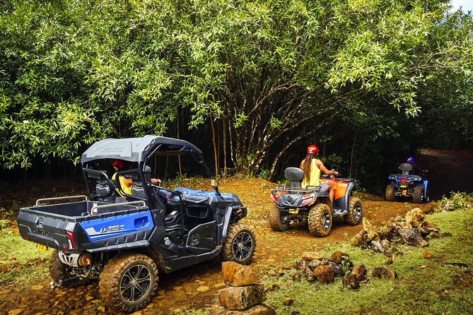 Mauritius Adventure tour - What the driver-guide adds to the day