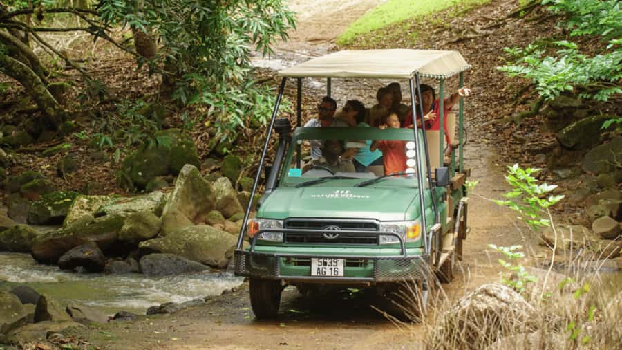 Mauritius: Bel Ombre Nature Reserve 4x4 Safari Adventure - Why Bel Ombre feels different from the coast