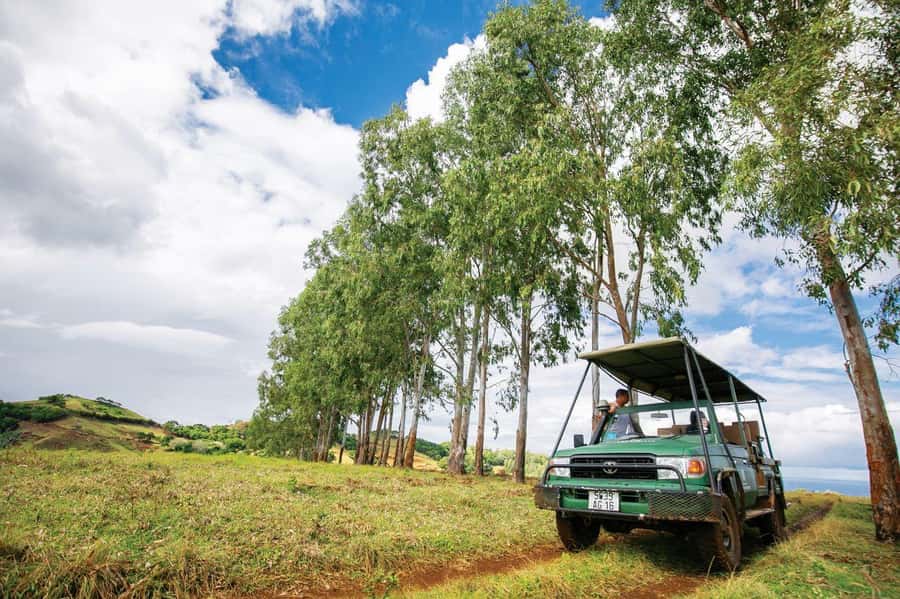 Mauritius: Bel Ombre Nature Reserve 4x4 Safari Adventure - The 4x4 ride through forest and grassland